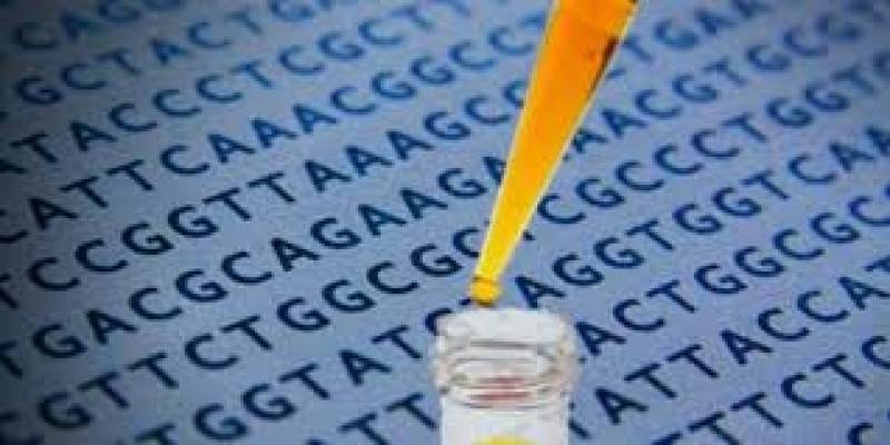 Clínica de Exame Farmacogenético Engenheiro Coelho - Exames Genéticos