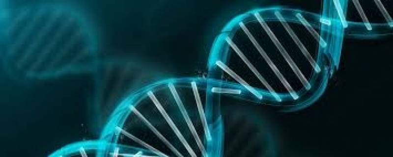 Clínica de Exames Genéticos na Hortolândia - Teste de DNA