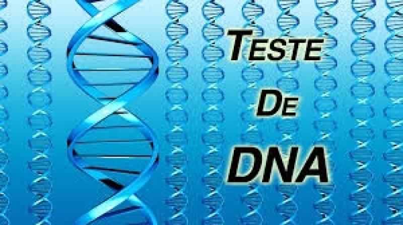 Clínica de Teste de DNA na Nova Odessa - Exames de Sangue