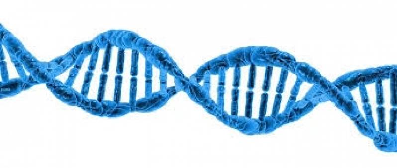 Exame Farmacogenético Preço na Indaiatuba - Exames Genéticos