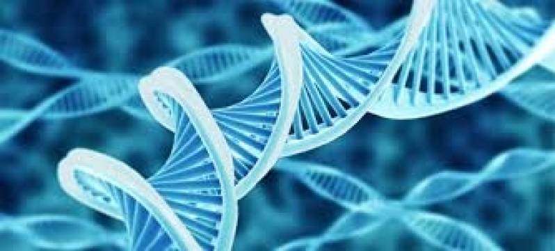 Exames Genéticos Preço na Atibaia - Exames Genéticos