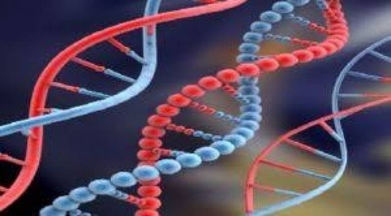 Quanto Custa Exame Farmacogenético em Campinas - Teste de DNA