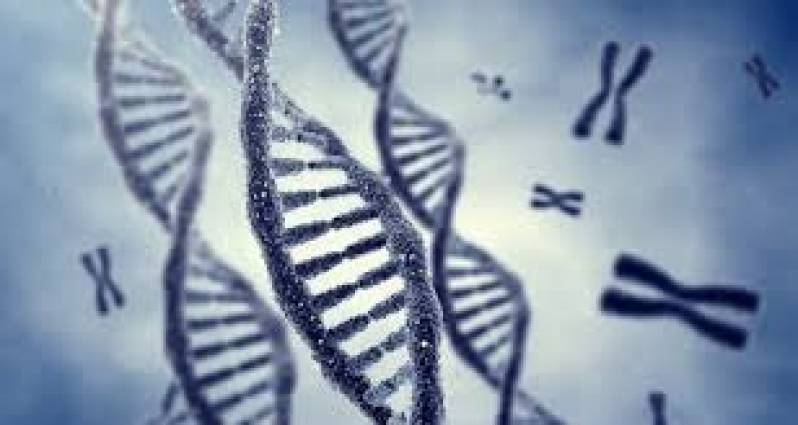 Testes de DNA Engenheiro Coelho - Exames Genéticos