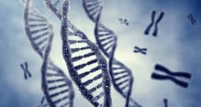 Testes de DNA na Piracicaba - Elastografia Hepática por Fibroscan