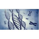 teste de DNA em Pedreira