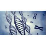 testes de DNA em Valinhos